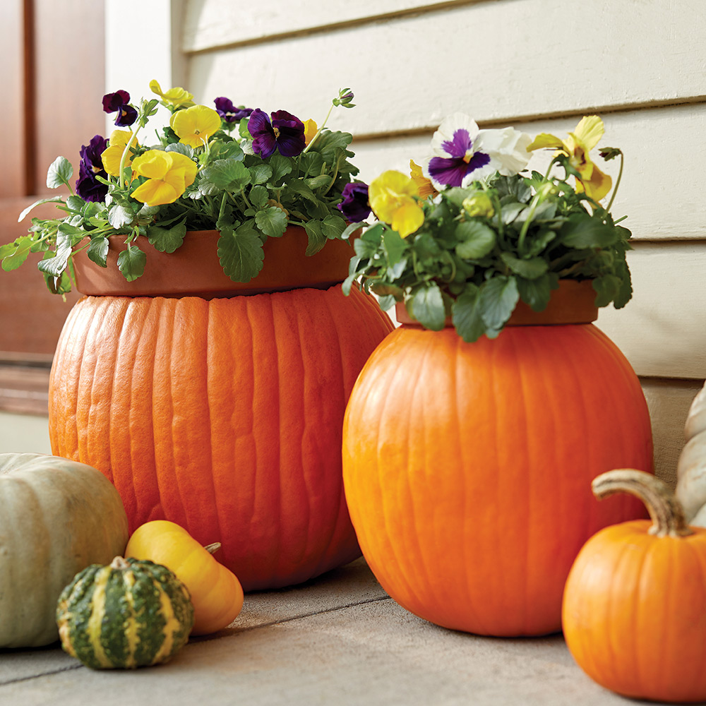 Picture of pumpkin planters