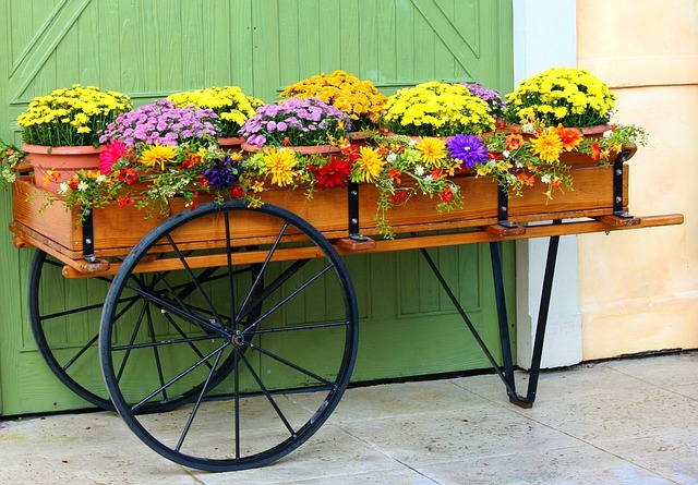 Picture of Container Gardening 