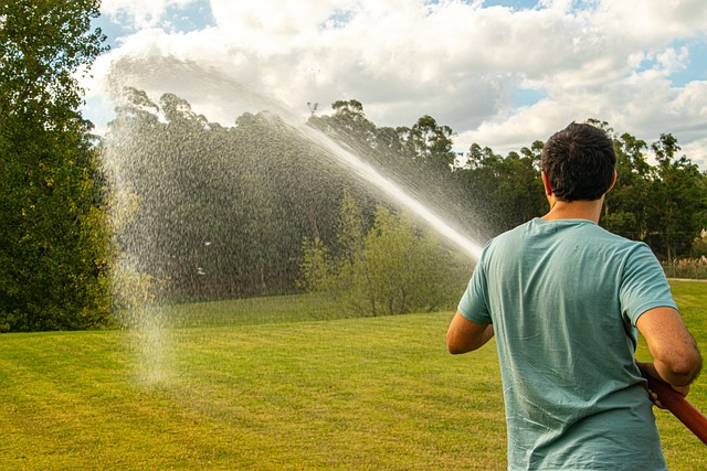 Picture of man watering lawn