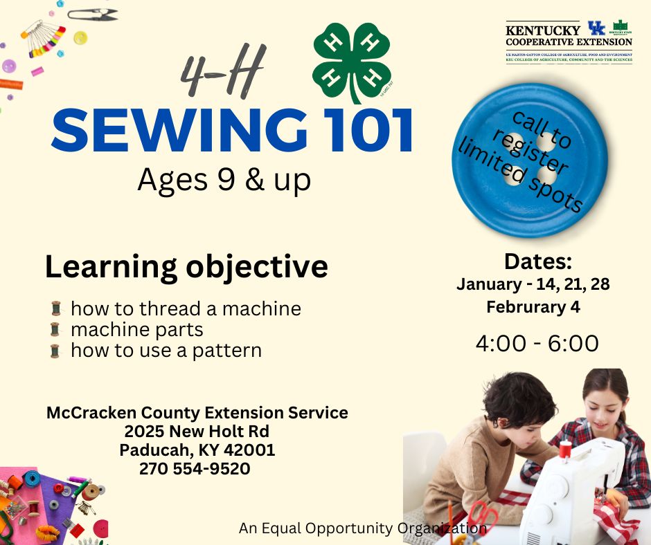 sewing flyer