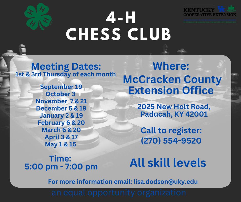 chess flyer