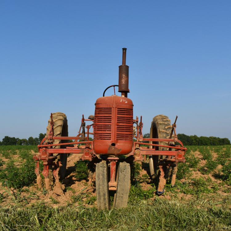  Old red tractor in field