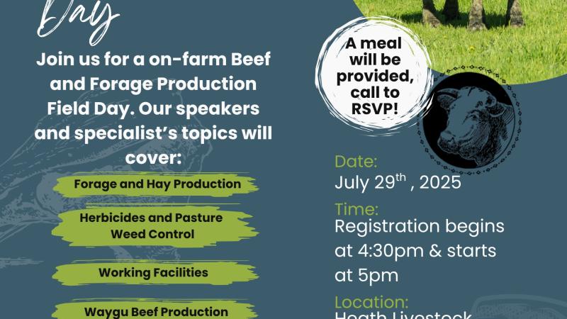 Flyer for Beef and Forage Field Day 2025