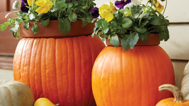 Picture of pumpkin planters