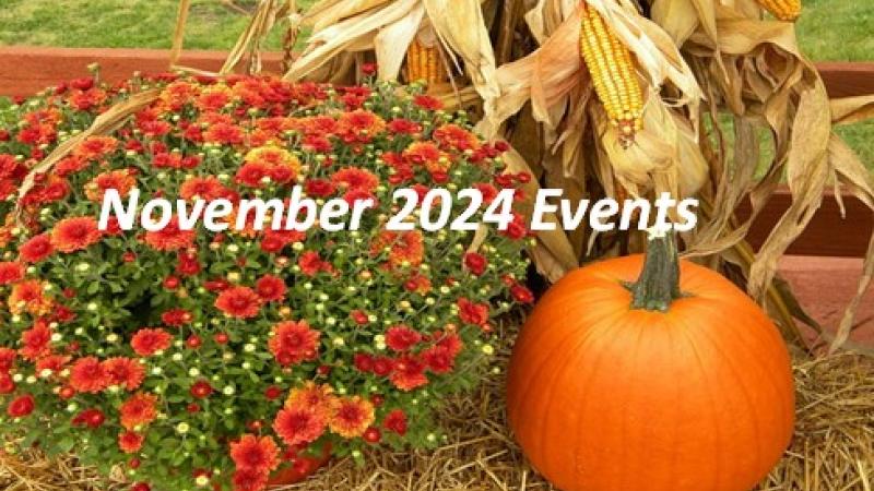 November 2024 Event Calendar