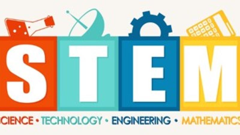 stem