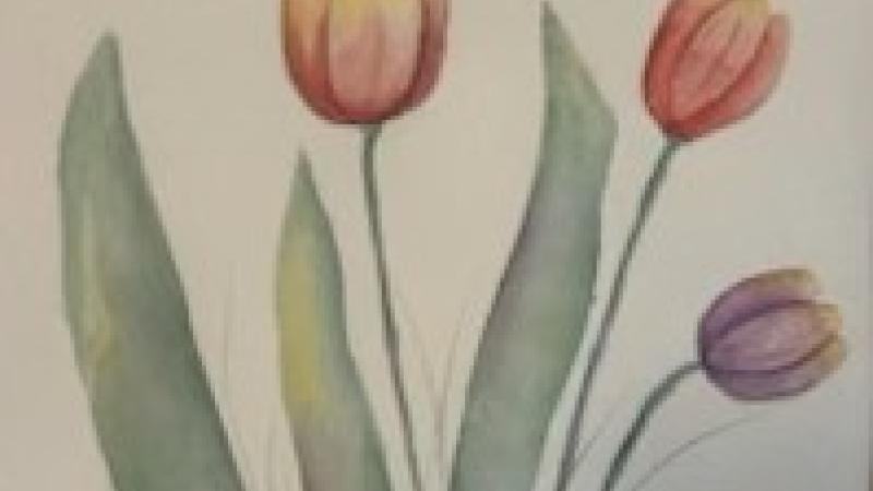 Watercolor Tulips