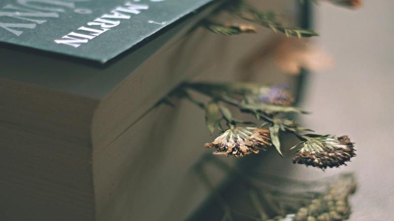Picture of book with pressed flowers
