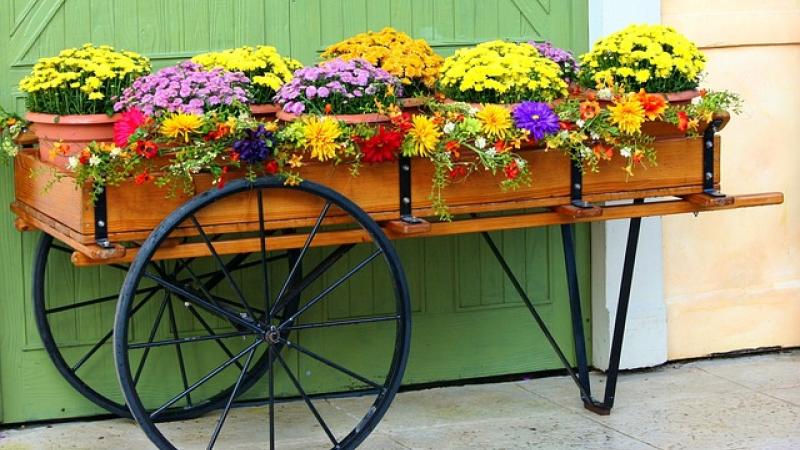 Picture of Container Gardening 