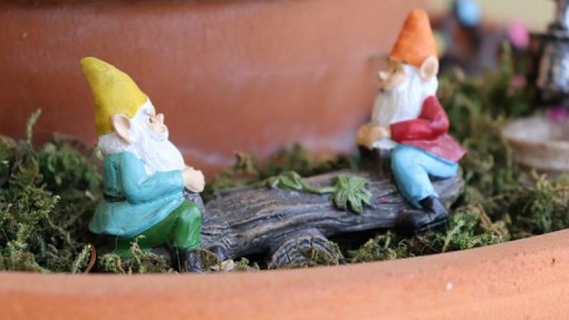 Gnomes in a flower pot for a fairy garden
