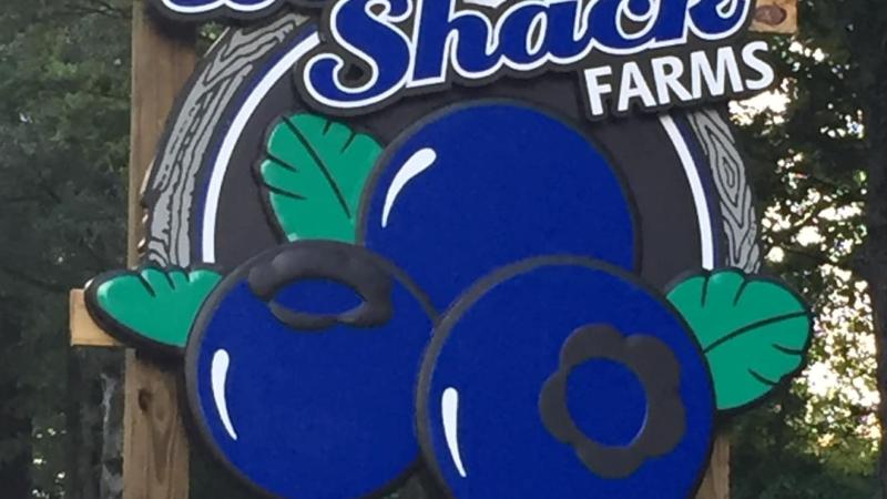 Picture of Love Shack Farm's Sign