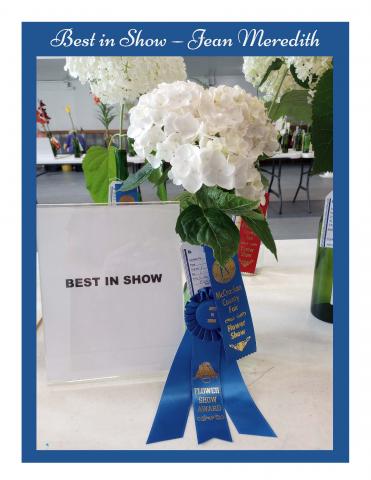 Best of Show