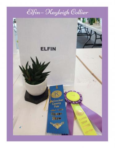 Elfin